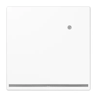 JUNG LED-orientatieverlichting met geïntegreerde lichtsensor LS990 alpine wit (LS 1539-O WW LNW)