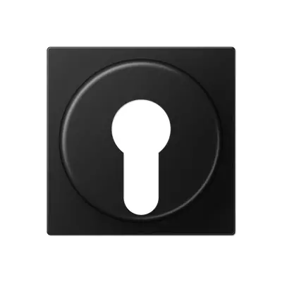 JUNG sleutel centraalplaat tbv jaloezie-sleutelschakelaar A-range grafietzwart mat (A 528 PL SWM)