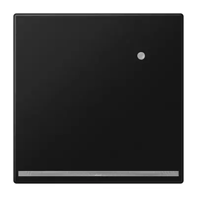 JUNG LED-orientatieverlichting met geïntegreerde lichtsensor LS990 grafietzwart mat (LS 1539-O SWM LNW)