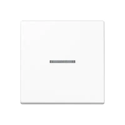 JUNG schakelwip met controlevenster voor HOME draadloze schakelaar A-range alpine wit (A 101 KO5 WW)