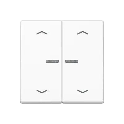 JUNG schakelwip 2-voudig met controlevenster en pijlsymbolen voor HOME draadloze schakelaar A-range alpine wit (A 102 KO5P WW)