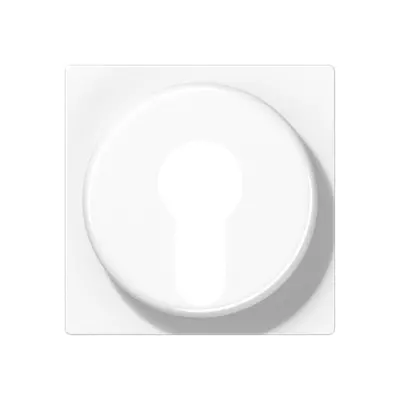 JUNG sleutel centraalplaat tbv jaloezie-sleutelschakelaar A-range sneeuwwit mat (A 528 PL WWM)