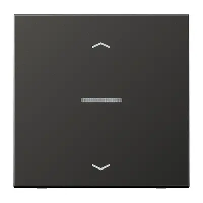 JUNG schakelwip met controlevenster en pijlsymbolen voor HOME draadloze schakelaar LS990 antraciet gelakt aluminium (AL 101 KO5P AN)