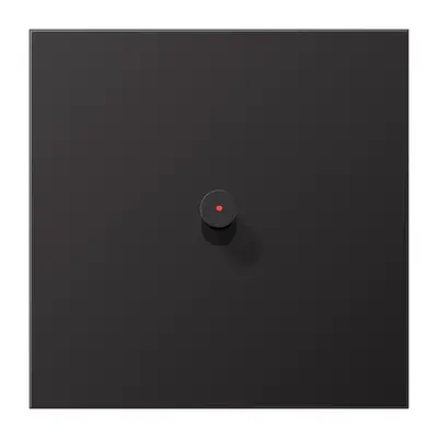 JUNG schakelwip met lens kegel LS1912 dark gelakt aluminium (AL 12-0 KO D K 01)