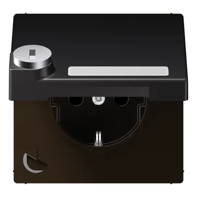 JUNG wandcontactdoos randaarde Safety+ klapdeksel tekstvenster slot LS990 dark gelakt aluminium (AL 1520 NNAKLSL D)