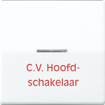 JUNG schak wip lens tekst cvhoofds (AS 591 BFCV WW)