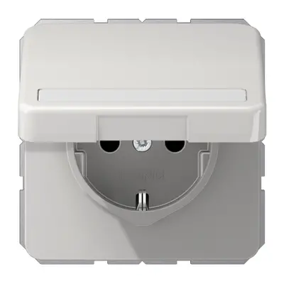 JUNG wandcontactdoos randaarde Safety+ met tekstvenster en klapdeksel CD500 lichtgrijs (CD 1520 NBFNAKL LG)