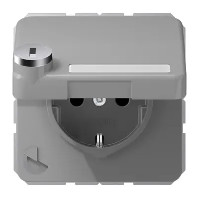 JUNG wandcontactdoos randaarde Safety+ klapdeksel tekstvenster slot CD500 grijs (CD 1520 NNAKLSL GR)