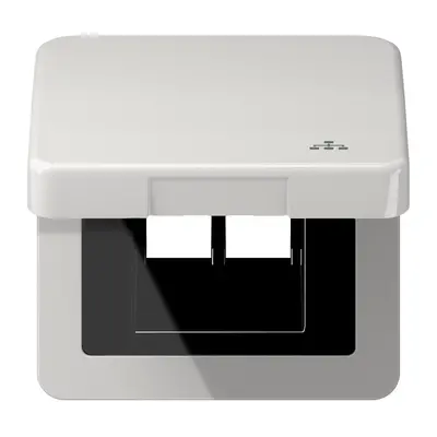JUNG klapdeksel met LAN-symbool CD500 lichtgrijs (CD 590 KL LAN LG)