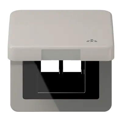 JUNG klapdeksel met LAN-symbool CD500 platina (CD 590 KL LAN PT)