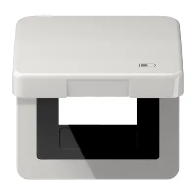 JUNG klapdeksel met USB-ladersymbool CD500 lichtgrijs (CD 590 KL USB LG)