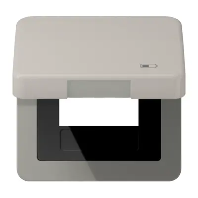 JUNG klapdeksel met USB-ladersymbool CD500 platina (CD 590 KL USB PT)
