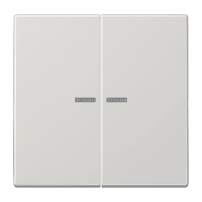 JUNG schakelwip 2-voudig met controlevenster voor HOME draadloze schakelaar LS990 lichtgrijs (LS 102 KO5 LG)