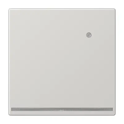 JUNG LED-orientatieverlichting met geïntegreerde lichtsensor LS990 lichtgrijs (LS 1539-O LG LNW)