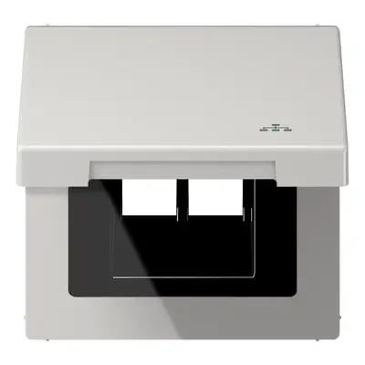 JUNG klapdeksel met LAN-symbool LS990 lichtgrijs (LS 990 BFKL LAN LG)