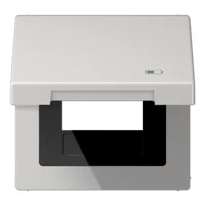 JUNG klapdeksel met USB-ladersymbool LS990 lichtgrijs (LS 990 BFKL USB LG)