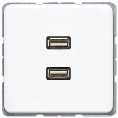 JUNG centraalplaat met draagring en 2 x USB-A naar USB-A koppeling CD500 alpine wit (MA CD 1153 WW)