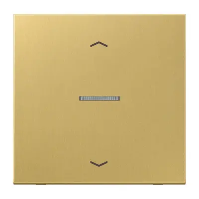 JUNG schakelwip met controlevenster en pijlsymbolen voor HOME draadloze schakelaar LS990 messing klassiek (ME 101 KO5P C)