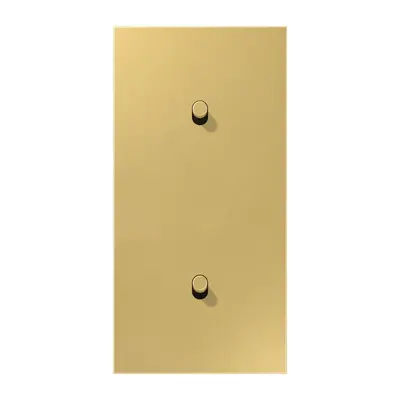 JUNG schakelwip cilinder voor 2 x enkele schakelaar verticaal LS1912 messing klassiek (ME 12-20 C R 25)