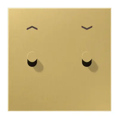 JUNG wip tbv jaloezieschakelaar kegel LS1912 messing klassiek (ME 12-5 P C K 25)