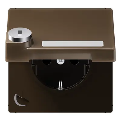 JUNG wandcontactdoos randaarde Safety+ klapdeksel tekstvenster slot LS990 messing antiek (ME 1520 NNAKLSL AT)