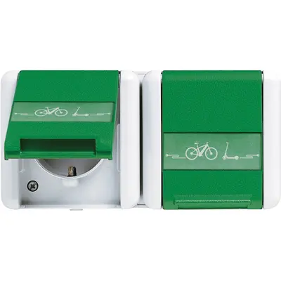 JUNG wandcontactdoos 2-voudig opbouw met fietslaadsymbool tekstvenster en groen klapdeksel IP44 WG800 (8220 GN NAWEB)