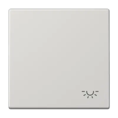 JUNG schakelwip met lichtsymbool LS990 lichtgrijs (LS 990 L LG)