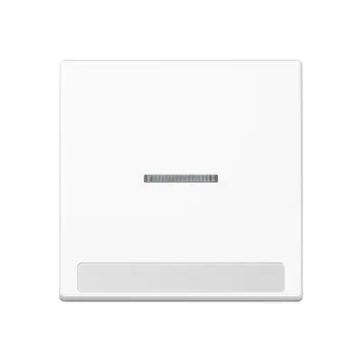 JUNG schakelwip met tekstvenster en controlevenster A-range alpine wit (A 590 BF NA KO5 WW)