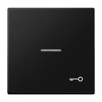 JUNG schakelwip met sleutelsymbool en controlevenster LS990 grafietzwart mat (LS 990 KO5 T SWM)