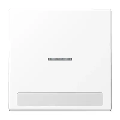 JUNG schakelwip met controlevenster en tekstvenster LS990 sneeuwwit mat (LS 990 NAKO5 WWM)