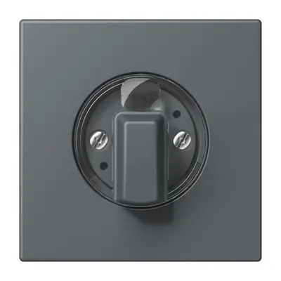 JUNG draaiknop tbv standen/jaloezie schakelaar Les Couleurs gris fonce 31 202 (LC 1941 202)