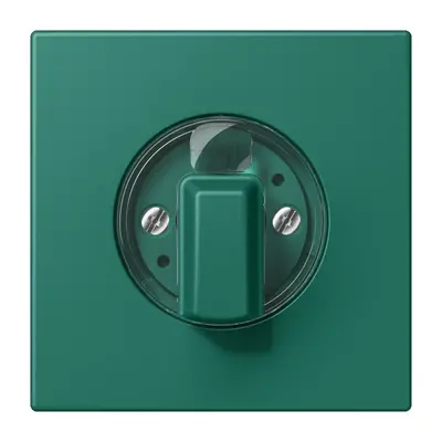 JUNG draaiknop tbv standen/jaloezie schakelaar Les Couleurs vert anglais 216 (LC 1941 216)