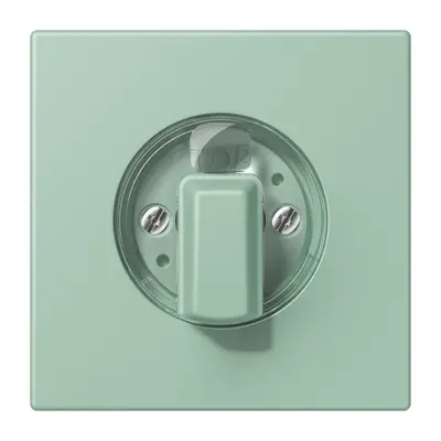 JUNG draaiknop tbv standen/jaloezie schakelaar Les Couleurs vert anglais clair 217 (LC 1941 217)