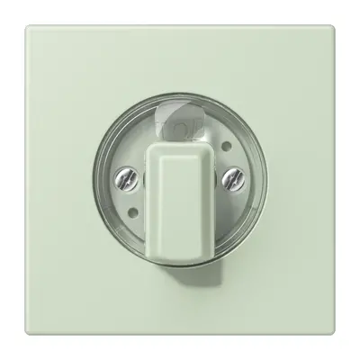 JUNG draaiknop tbv standen/jaloezie schakelaar Les Couleurs vert anglais pale 218 (LC 1941 218)