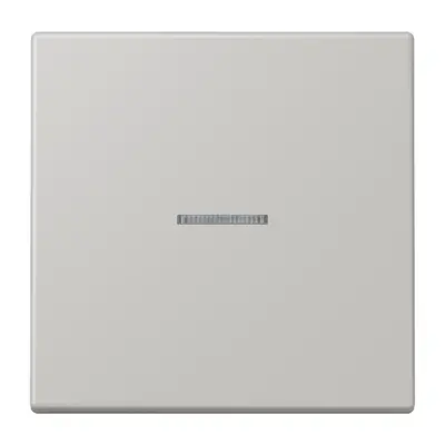 JUNG schakelwip met controlevenster Les Couleurs gris clair 31 205 (LC 990 KO5 205)
