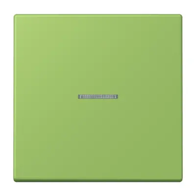 JUNG schakelwip met controlevenster Les Couleurs vert 31 220 (LC 990 KO5 220)