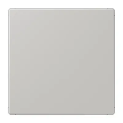 JUNG centraalplaat blinddeksel incl. draagframe Les Couleurs gris clair 31 205 (LC 994 B 205)