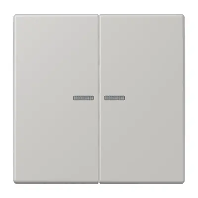 JUNG schakelwip 2-voudig met controlevenster Les Couleurs gris clair 31 205 (LC 995 KO5 205)