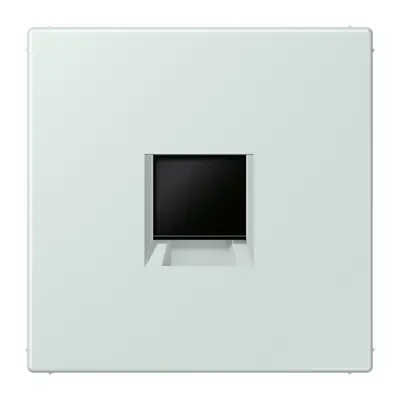 JUNG centraalplaat klikbevestiging 1-voudig met draagring keystone houder Les Couleurs ceruleen pale 215 (LC 1969-1 WE 215)