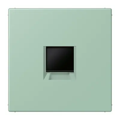 JUNG centraalplaat klikbevestiging 1-voudig met draagring keystone houder Les Couleurs vert anglais clair 217 (LC 1969-1 WE 217)