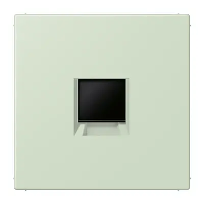 JUNG centraalplaat klikbevestiging 1-voudig met draagring keystone houder Les Couleurs vert anglais pale 218 (LC 1969-1 WE 218)