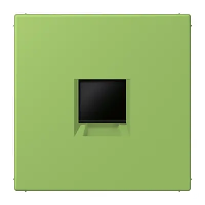 JUNG centraalplaat klikbevestiging 1-voudig met draagring keystone houder Les Couleurs vert 31 220 (LC 1969-1 WE 220)