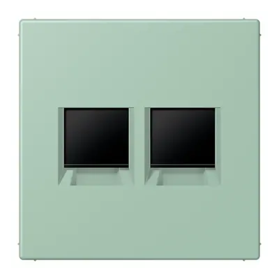 JUNG centraalplaat klikbevestiging 2-voudig met draagring keystone houder Les Couleurs vert anglais clair 217 (LC 1969-2 WE 217)