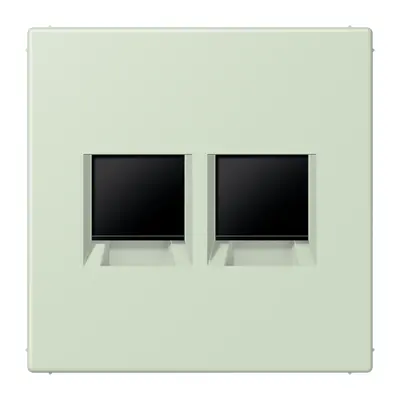 JUNG centraalplaat klikbevestiging 2-voudig met draagring keystone houder Les Couleurs vert anglais pale 218 (LC 1969-2 WE 218)