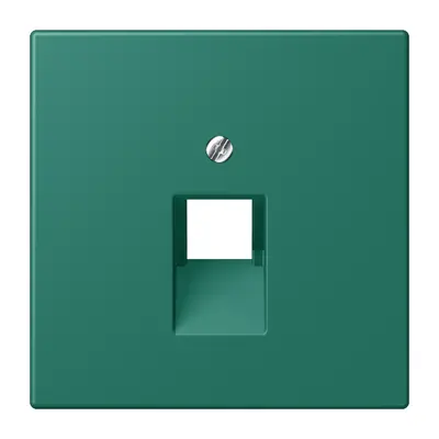 JUNG centraalplaat 1-voudig tbv RJ45 wandcontactdoos Les Couleurs vert anglais 216 (LC 969-1 UA 216)
