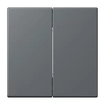 JUNG bluetooth radiografische wandzender 4-kanaals low energy Les Couleurs gris fonce 31 202 (BLE LC 995 202)