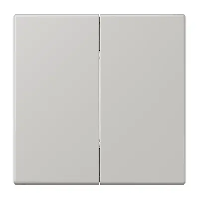 JUNG bluetooth radiografische wandzender 4-kanaals low energy Les Couleurs gris clair 31 205 (BLE LC 995 205)