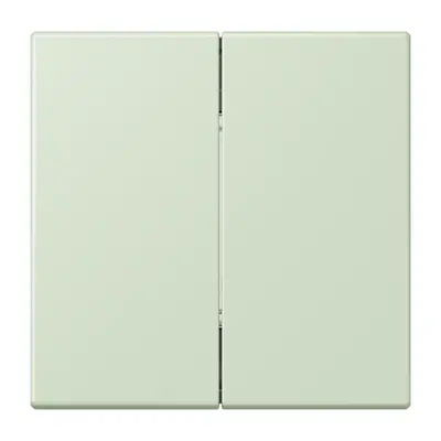 JUNG bluetooth radiografische wandzender 4-kanaals low energy Les Couleurs vert anglais pale 218 (BLE LC 995 218)