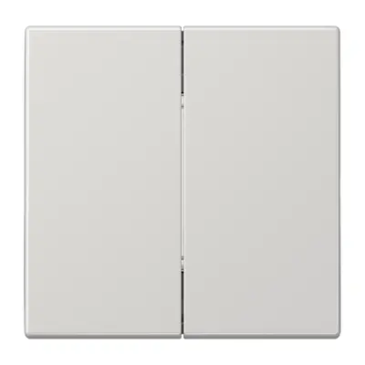 JUNG Friends of Hue radiografische wandzender 4-kanaals LS990 lichtgrijs (FOH LS 995 LG)