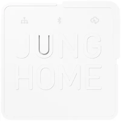 JUNG gateway HOME systeem (BT S GATEWAY)